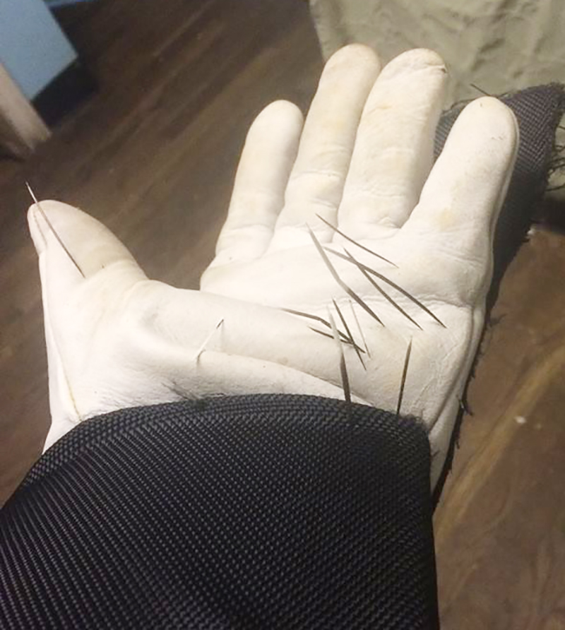 Image of a glove with porcupine quills