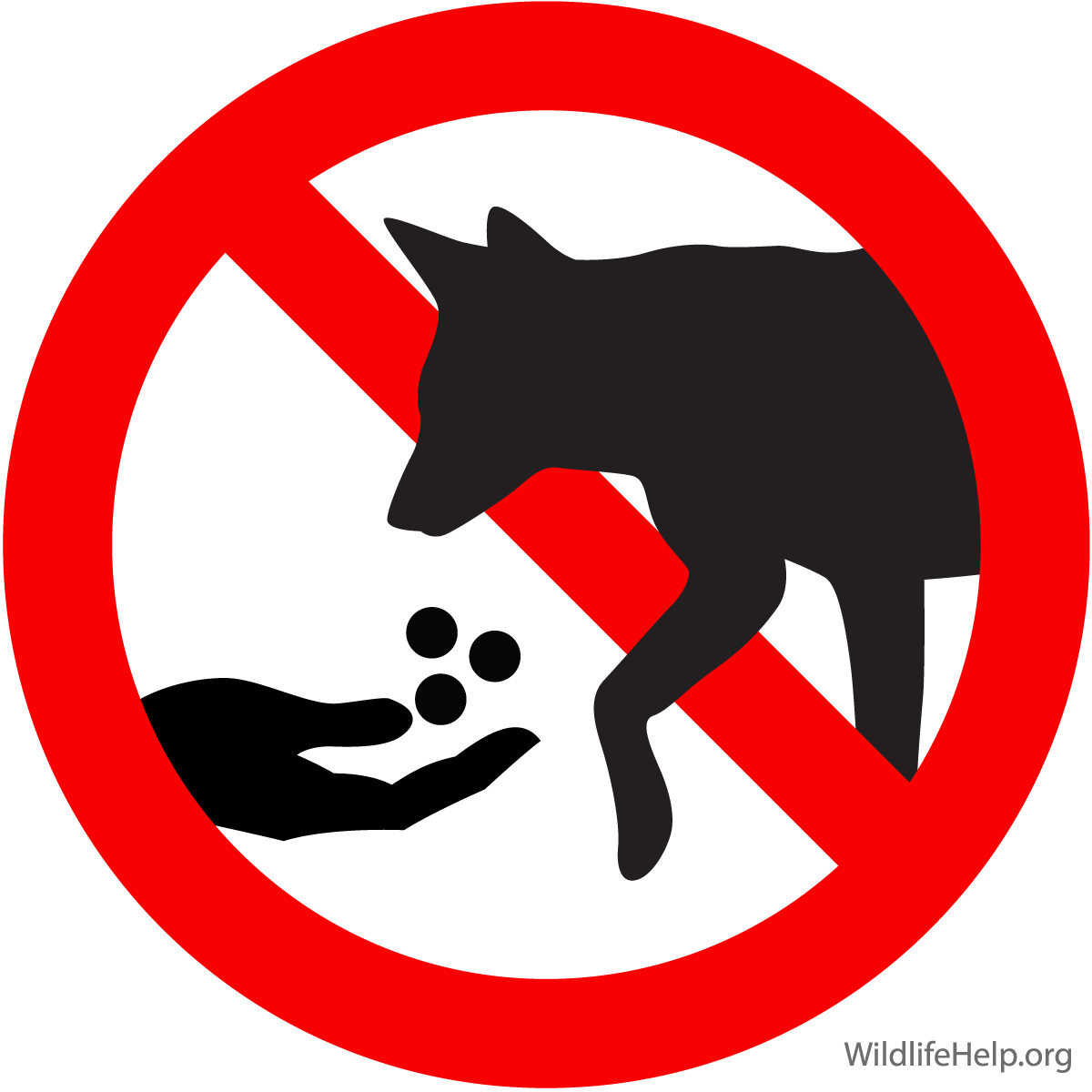 Do Not Feed Coyotes graphic illustration
