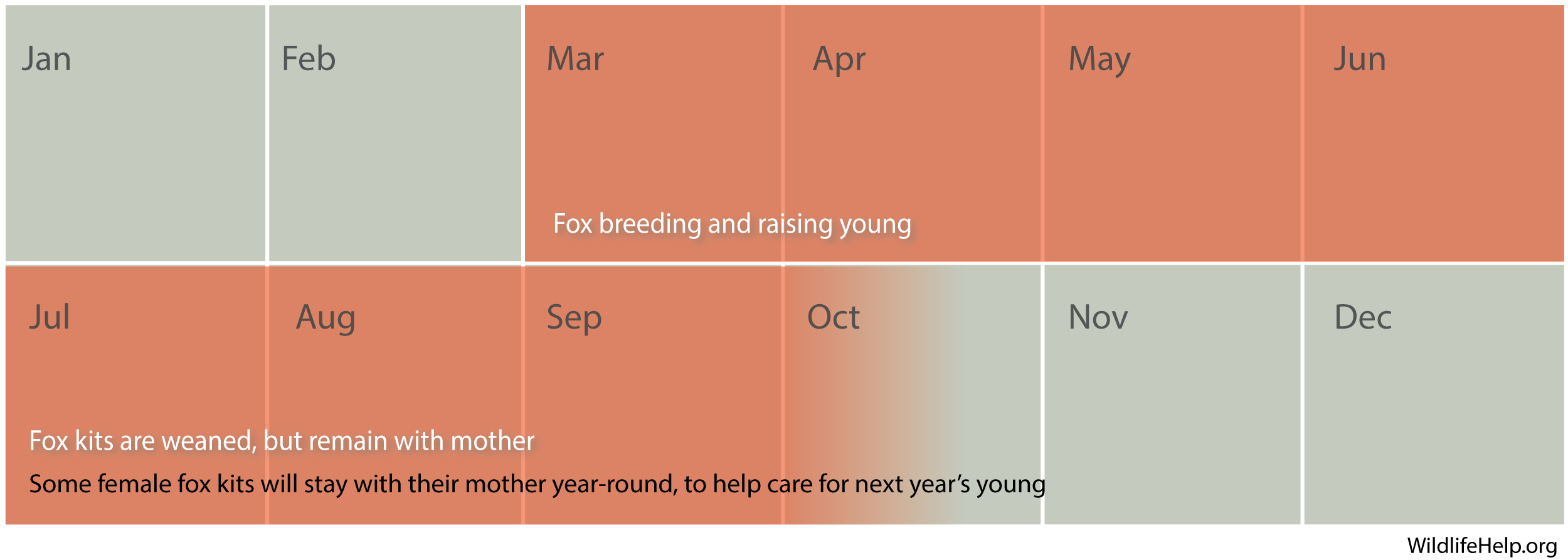 Diagram - fox breeding season
