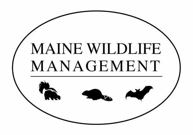 Evicting Animals From Buildings: How to Avoid or Resolve a Wildlife  Conflict: Living with Wildlife: Wildlife: Fish & Wildlife: Maine Dept of  Inland Fisheries and Wildlife