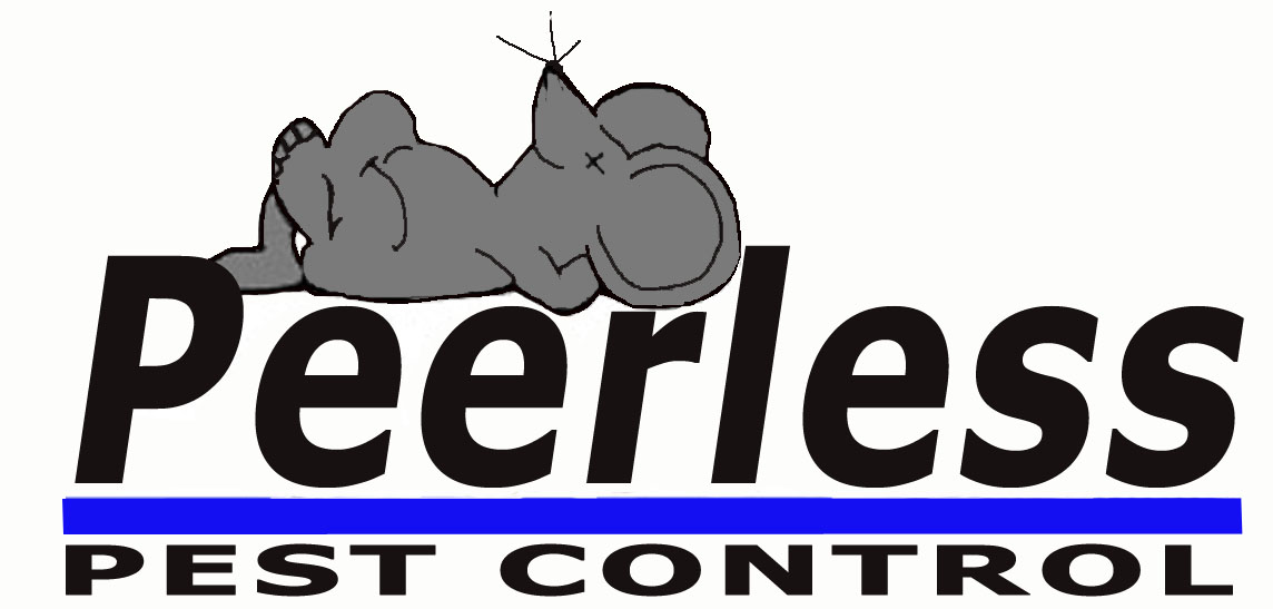 WildlifeHelp.org | Peerless Pest Control