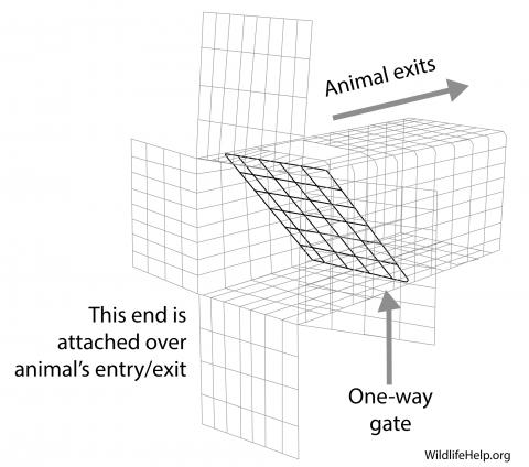 To let raccoons escape an attic or building, place an exclusion gate like this over entrances where animals are entering.
DJ Case and Associates Photo accompanying step 1