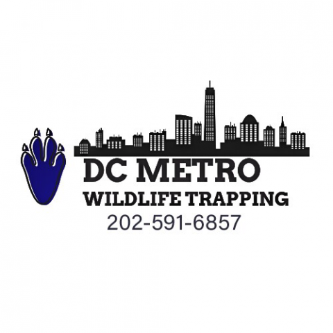 Trapping nuisance wildlife  Washington Department of Fish & Wildlife