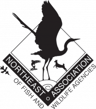 Northeast Association of Fish and Wildlife Agencies logo
