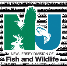 division of fish and wildlife new jersey