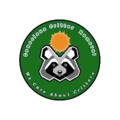 Critter removal discount