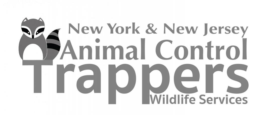 Queens New York Pest Wildlife Removal, Animal Trapping and Control